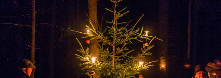 Waldweihnacht_Ilmberg