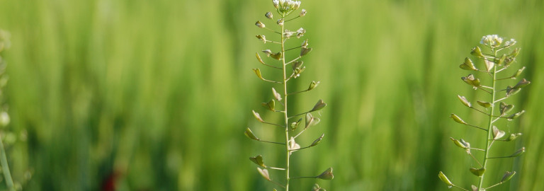 Pfarrerinnen und Pfarrer