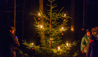 Waldweihnacht_Ilmberg
