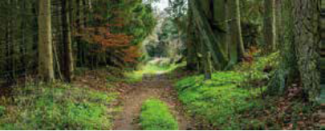 Meditative Wanderung